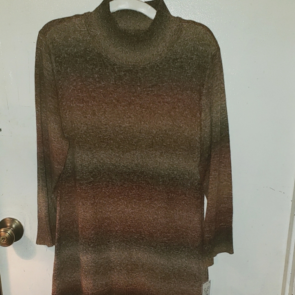 Studio One NWT  Multi colored striped brown dress